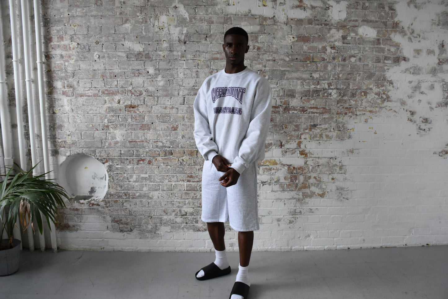 Vintage American Pro Sports Sweatshirt in light grey