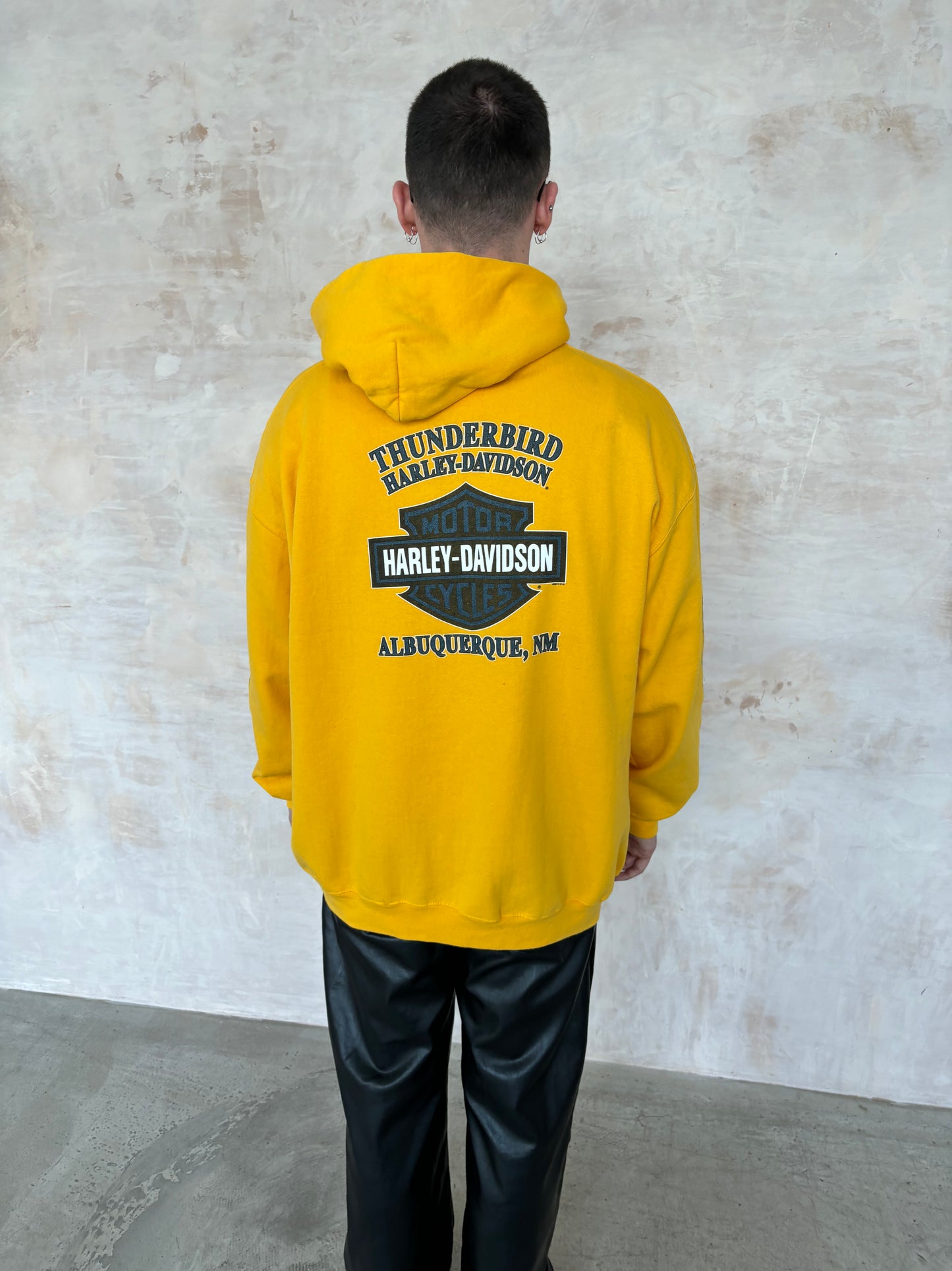 Vintage Harley Davidson Hoodie